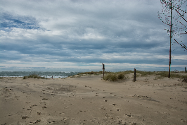 Caminando hacia el mar por las dunas francesas