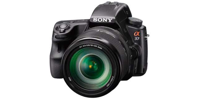 Cámaras sony reflex