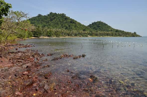Preciosas vistas de Rabbit Island