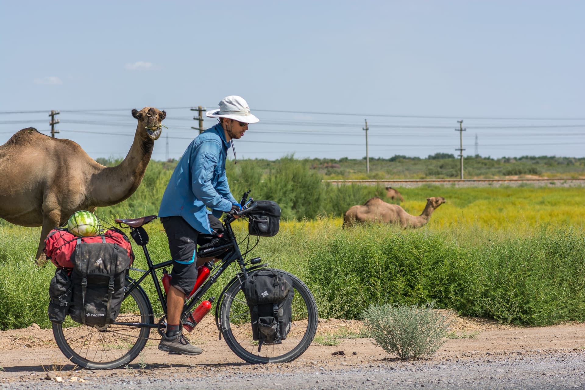 Pablo con la bicicleta cargada y camellos en el desierto verde de Turkmenistán